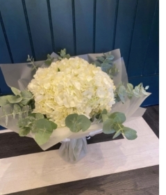 White Hydrangea And Eucalyptus