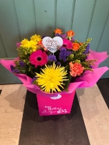 Mother’s Day Colourful