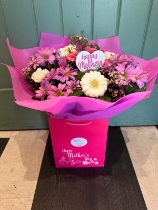 Mother’s Day Hot Pink Mix